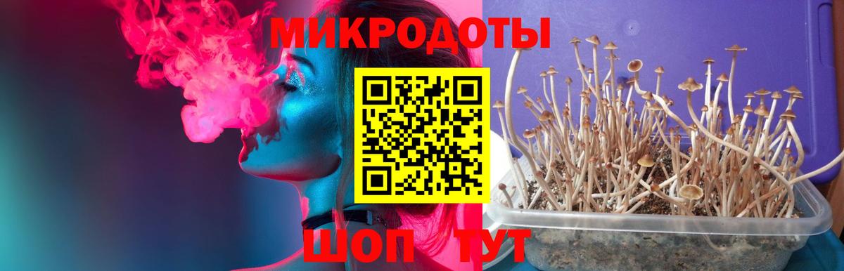Новоалександровск  Псилоцибиновые грибы GOLDEN TEACHER  Вход с VPN 